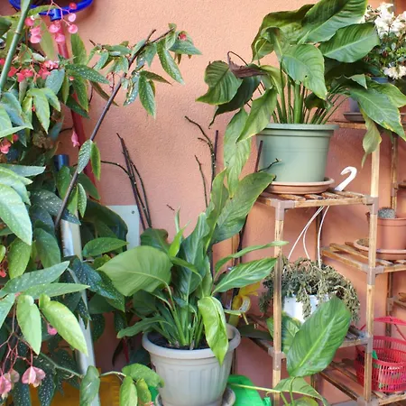 Relax Con Giardino A 8 Minuti A Piedi Dal Mare Lejlighed Loano